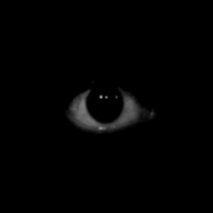 dark_hide