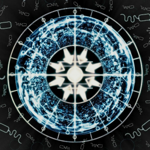 DaRk_SINGularity