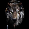 Dark_W01f