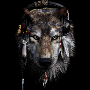 Dark_W01f