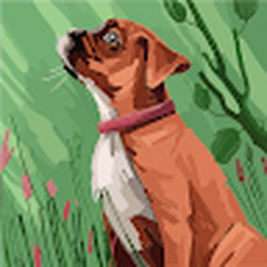 dash-