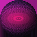 dashdogbash_gmail_com