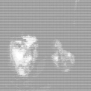 RASA Data