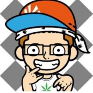 データライブ