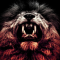 davidolulami_gmail_com