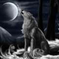 davistrocosoavila_gmail_com