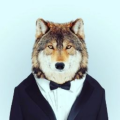 DawnBreakerWolf