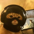 Dax_Duck