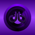 dbunk