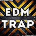 ddtrain95