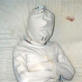 deaddoggy