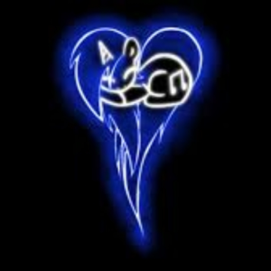 deadLIVE1408