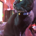 DeadyJ