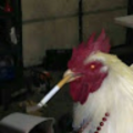 deathnagito_gmail_com