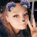deea_rinocerb