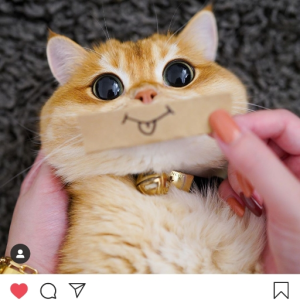 Deepsa