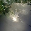 DeepWaterHorizon