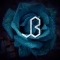 J-Bloom