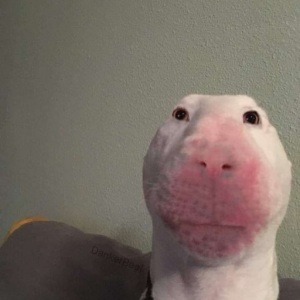 DeMaso