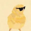 densejechick123