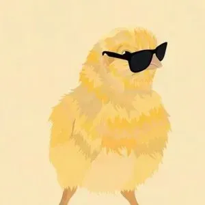 densejechick123