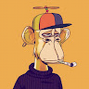 denvergitonga_gmail_com