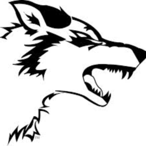 DerpyBron-3