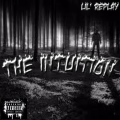 Lil'Replay