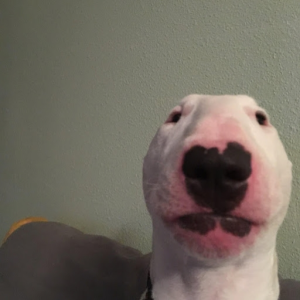 dev0n