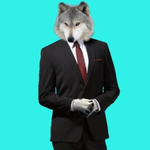 devtomlin9_gmail_com