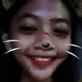 dianellamariano7_gmail_com