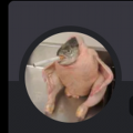 diegobadger69