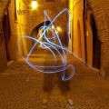 digitaligor