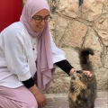 dina_ismael
