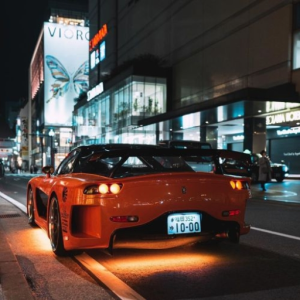 DiR7