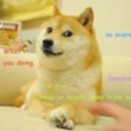 DirewolfWorld