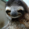 Dirty_Sloth_Beats