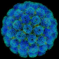 Disease