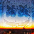 Divvy_RS