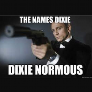 Dixie_Normous