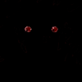 DizPirzonlD