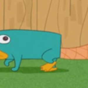 DJ-platypus