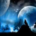 OokamiiWolfy