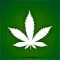 DJBOSS15