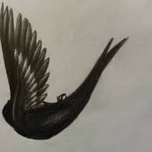 SonOfIcarus