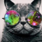 Dj.MeroKat
