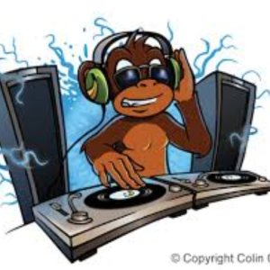 Djmonkeyparty