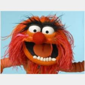 DJ muppet