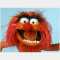 DJ muppet