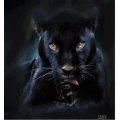 DJPanther